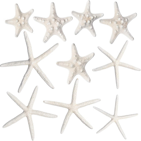 Nautical Crush Trading Starfish Decor, 5 White Starfish 4-6" and 5 Knobby Starfish 2-3.5" for Coastal Party