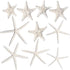 Nautical Crush Trading Starfish Decor, 5 White Starfish 4-6" and 5 Knobby Starfish 2-3.5" for Coastal Party