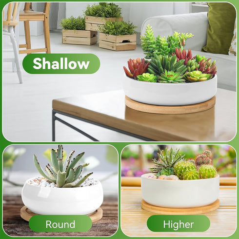 ZOUTOG Succulent Pots, 6 inch White Ceramic Flower Planter Pot with Bamboo Tray, Pack of 2 - Plants Not Included by ZOUTOG