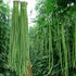 VAACNEE MOCCUROD 30+ Yard Long Bean Seeds Asian Vegetable Long Bean String Beans