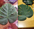 OurWarm 24pcs Large Artificial Tropical Palm Leaves, Faux Safari Leaves Monstera Fake Leaves for Birthday Party Safari