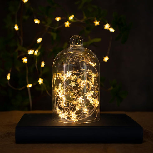 6 Packs 6.6ft 20 LEDs Star Fairy Lights Battery Operated,Mini Star String Lights,Waterproof Twinkle Starry Light