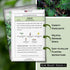 Packet (2) Sow Right Seeds - Red Russian Kale Seeds for Planting - Non-GMO Heirloom with Instructions to Plant a Home