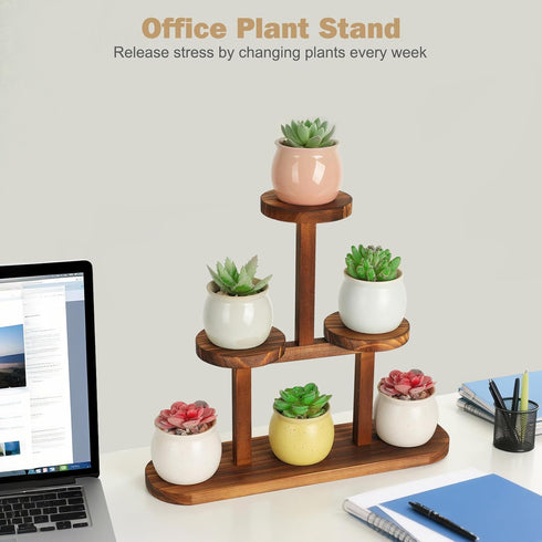 3 Desktop,Countertop,Window,Kitchen,Office Tier Wood Table Top Plant Stand,Small Windowsill Plant Shelf Desk Succulent
