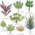 Augshy Artificial Succulents, 16 Pack Fake Plants for Decorative Garden Arrangement