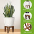 Wood Plant Stand for Indoor/Outdoor, Large Size Sturdy Flower Pot Holder, Fits Most Flower Pots (1 Pack)