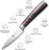 PAUDIN Paring Knife, 3.5 Inch High Carbon Stainless Steel, Ultra Sharp Small Kitchen Knife with Gift Box
