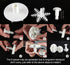 ilauke 6PCS Snowflake Cookie Cutters Decorating Fondant Embossing Tool - Christmas Plunger Cake Cutter
