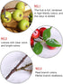 Forlaoers 21.6 Inch 8Pcs Realistic Green Berry Faux Stem Artificial Berries with Stem for Bedroom Home Living Room