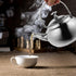 BESTonZON Whistling Tea Kettle 14cm Stainless Steel Water Boiler with Infuser Stovetop Flat Bottom Teapot Suitable to Boiling Water on Induction Stove Gas Stove Top for Home by BESTonZON