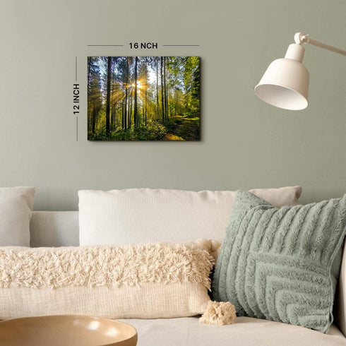 Forest Wall Art Nature Pictures - 12x16” Mountain Landscape Photo Prints for Living Room and Home Decor