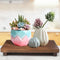 kulusion Walnut Wooden Pedestal Stand, Farmhouse Wood Tray for Kitchen Bathroom Counter Decor,