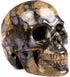 Skullis 2.0” Que Sera Stone Crystal Skull, Hand Carved Gemstone Fine Art Sculpture for Reiki Healing