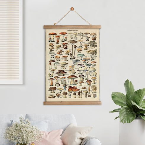 12 16 Inches XIAOAIKA Vintage Mushroom Poster with Wooden Frame - Classic Botanical Print with Variety of Fungi Species