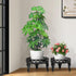 Outdoor,2 Pack Metal Plant Stand Indoor Heavy Duty Iron Plant Stands for Indoor/Outdoor,Low Round Flower Pot Stand