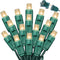 LAMPHOME 50Count String Lights, LED Christmas Lights, 6" SPACING,Green Wire,Warm White,Commercial Grade