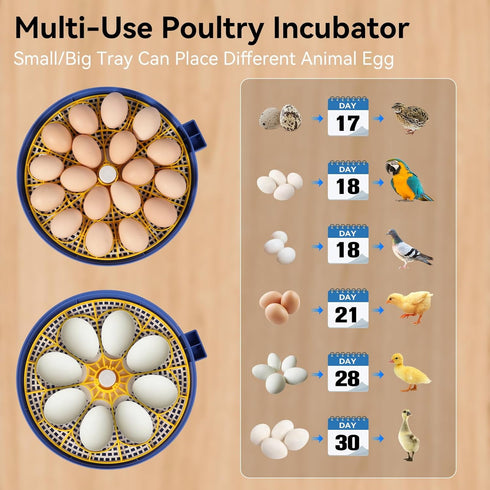 18 360 Egg Incubators for Hatching Eggs, Chicken Egg Incubator with Automatic Egg Turning and Temperature Humidity