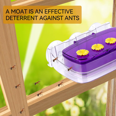 Window Hummingbird Feeder with Strong Suction Cup, Plastic Feeders for Outdoors, Easy to Clean and Refill