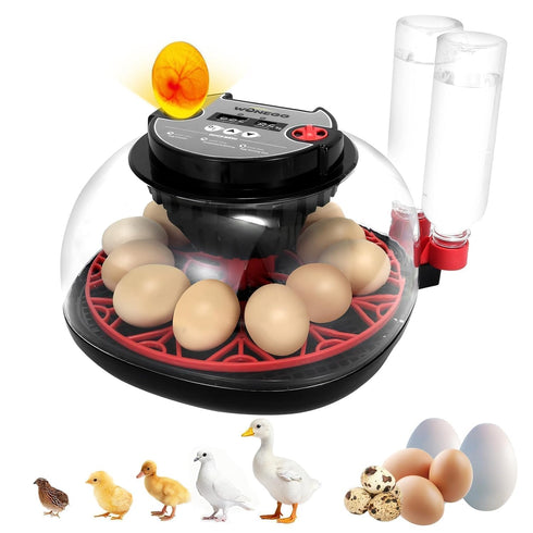GleeGearNex Gen II - 12 Egg Automatic Incubator, Two-Stage Humidity with Auto-Refill &