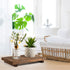 2 Counter Tiamon Pcs Wood Pedestal Stand Riser Wood Riser Soap Stand for Bathroom Farmhouse Soap Tray for Home Kitchen