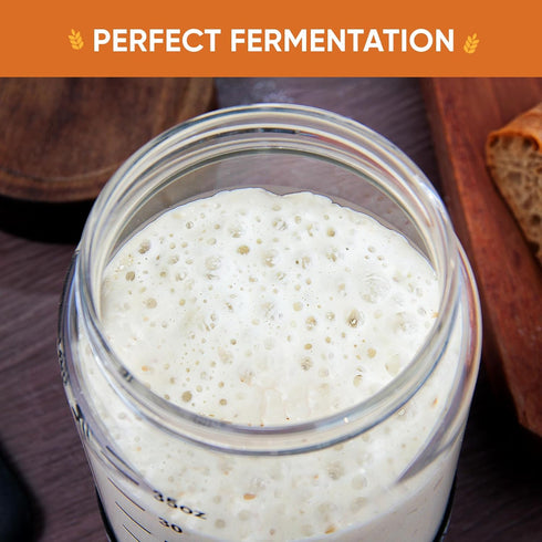 77L 35 oz 2 Pack Sourdough Starter Jar, Sourdough Starter Kit with Date Marker Feeding Band, Thermometer, Food-Grade