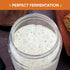 77L 35 oz 2 Pack Sourdough Starter Jar, Sourdough Starter Kit with Date Marker Feeding Band, Thermometer, Food-Grade