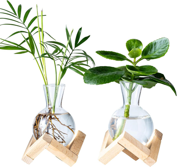 Propagation Stations, Propagation vases with Wooden Stand, Small Tabletop Glass Bulb Vases