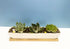 White Succulent Planter Pot Set of 2 - 11.1x2.36x1.77 Inch Long Rectangular Modern Ceramic with Saucer for Office