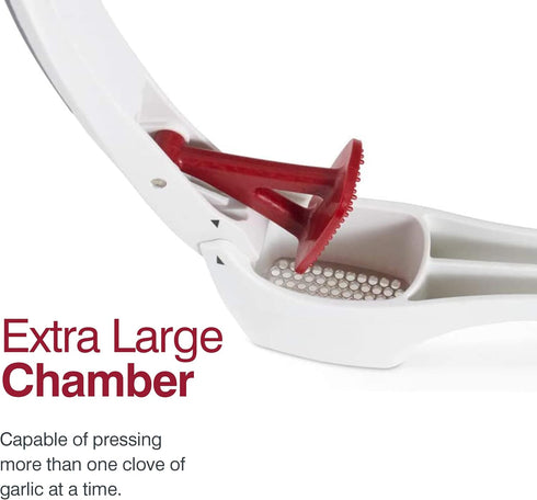 Zyliss Easy Clean Garlic Press - Lightweight Garlic Mincer & Crusher for Kitchen