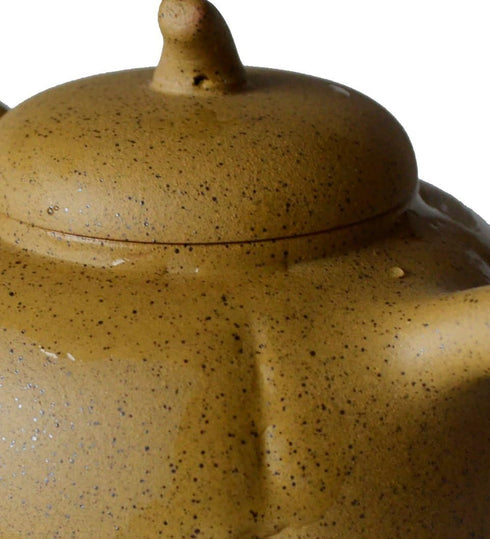 Teapot 8oz Chinese Clay Zisha Tea Pots, Yellow Zini Eggplant for Loose Tea Coffee