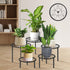 5-piece set of metal plant potted flower racks, heavy-duty flower pot plant