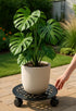 1 Packs 13.6" Large Metal Plant Caddy with PU Wheels Heavy-Duty Wrought Iron Rolling Plant Stands Indoor Outdoor