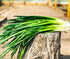 300 Bunching Green Onion Seeds Scallions About Non-GMO Seeds for Planting