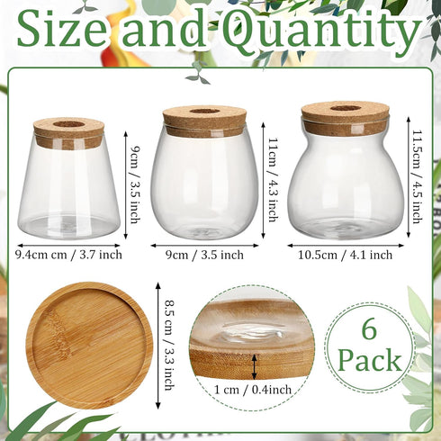 6 3 Beeveer Pcs Plants Propagation Station Separated Desktop Plant Terrarium with Wood Lid and Stand, Sizes Glass