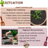 Set: 4 1 Kids Gardening Tools Gloves Cute Shovel Spade for Kid Garden Work with Toddler Gloves for Teen Boy Girls
