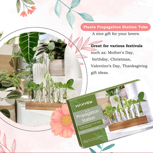 7 KAXYEW Plant Terrarium with Wooden Stand, Plant Propagation Tubes, Test Tubes Glass Planter for Hydroponic Plant