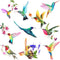20 Pieces Large Hummingbird Window Decals, Anti-Collision Clings to Prevent Bird Strikes on Glass, Non-Adhesive Vinyl
