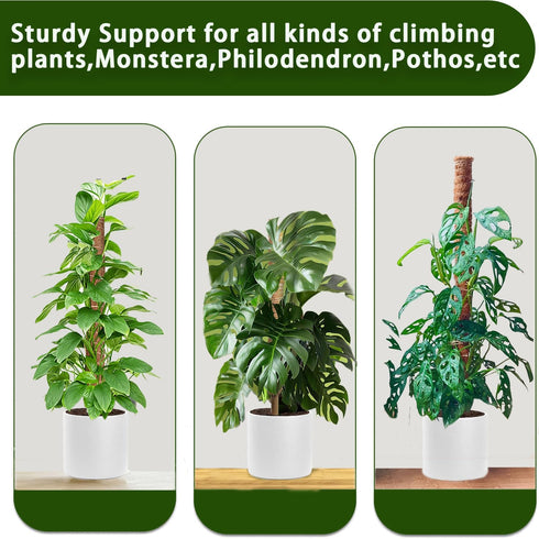 PLANTPOLEX 2 Pack 17 Inch Moss Pole, Monstera Plant Support for Climbing Plants Accessories Indoor, Stackable Moss