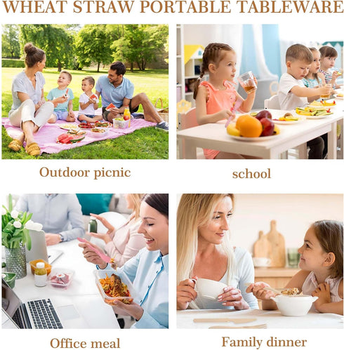 4 Pack Travel Utensil Set with Case, Wheat Straw Reusable Tableware for Camping