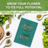 5 Meekear Herb Seeds Garden Starter Kit with Complete Planting Kit & Wooden Flower Box, Growing into Basil, Parsley