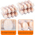 ZHIGLMYD 100 Pack 12 Count Dozen Plastic Egg Cartons - Bulk Cheap Clear Reusable Egg Containers for Chicken Eggs, Egg