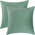 Jeneoo Set of 2 Soft Velvet Throw Pillow Covers, Decorative Cushion Cases for Sofa Couch (18 x 18 Inches, Sage Green)