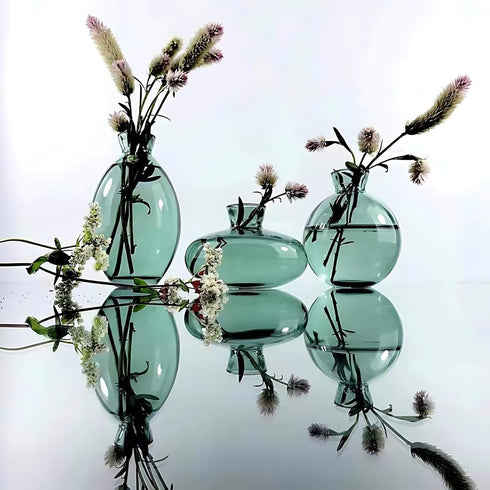 HymoConn Bulb Plant Propagation Station Propagation Vases for Plants Glass Terrariums Vases with Wooden Stand