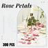 Der Rose 300pcs Artificial Silk Pink Rose Petals for Aisle Centerpieces Table Confetti Party Favors