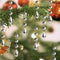 XINGXIA Christmas Ornaments Crystal Tree Decorations, 30Pcs Acrylic Clear Hanging Crystals for Centerpieces