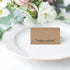 25 Rustic Kraft Tent Table Place Cards for Wedding, Thanksgiving, Christmas, Holiday, Catering, Banquet Party