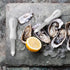 4Pcs Oyster Shucking Knife White Oyster Opener Stainless Steel Oyster Shucker New Haven Style with Non-slip Handle