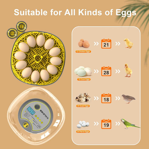 Eggs-12 2026 360 Incubator for Hatching Egg Capacity, Newly Upgraded Automatic Egg Turner, Temperature & Humidity