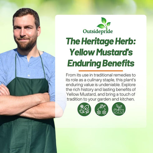 5000 Outsidepride Yellow Mustard Seeds - Pcs Nutrient-Rich, Flavorful Annual Microgreen Seeds for Planting