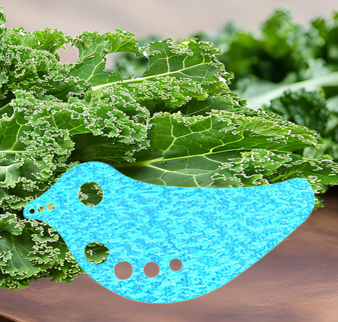 Herb Stripper - Efficient Leaf Remover for Kale, Chard, Collard Greens | Multi-functional Herb Leaf Stripper | LooseLeaf Kitchen Gadget for Leafy Greens and Herbs